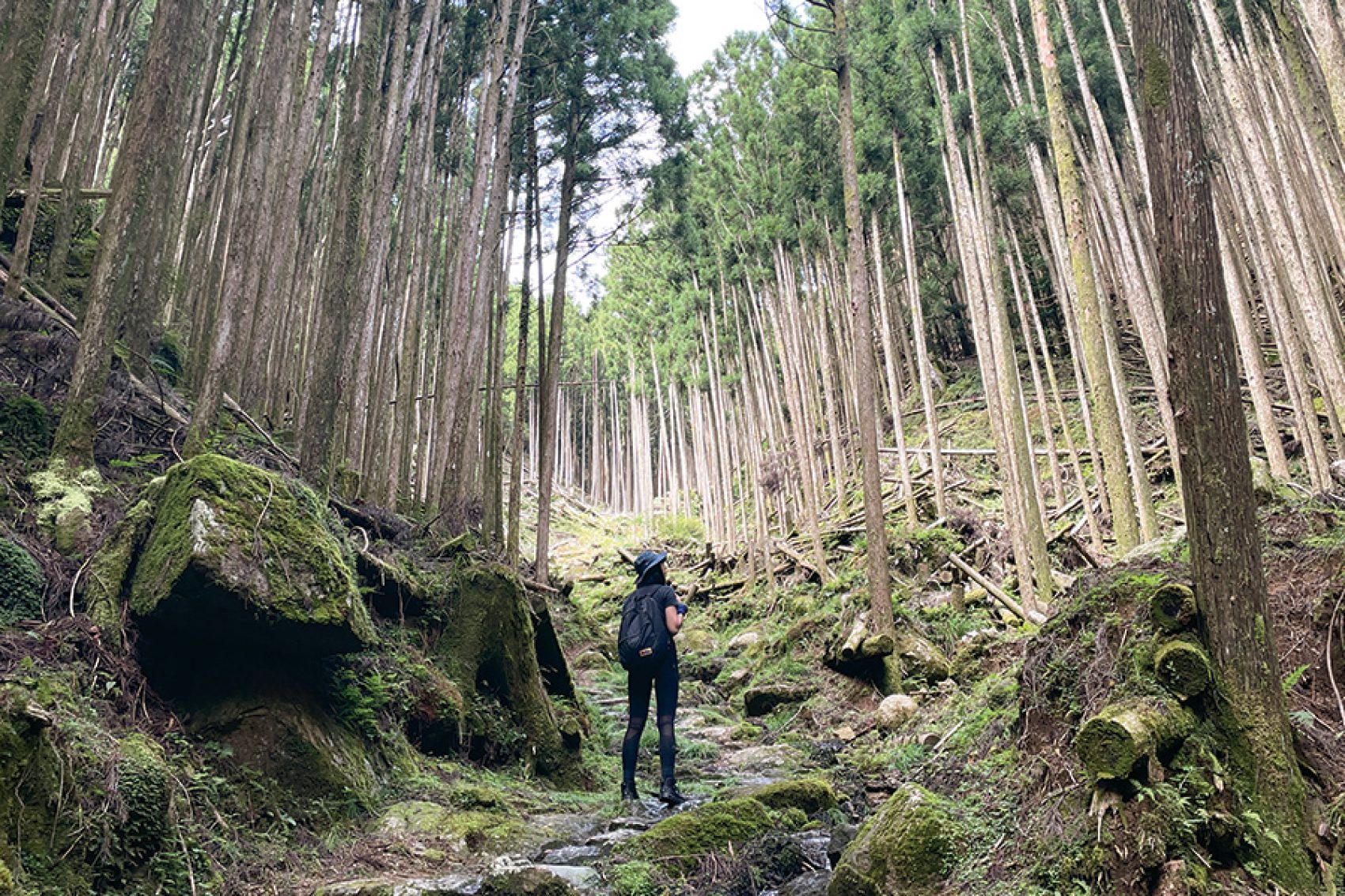 Kumano Kodo